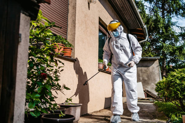 Best Pest Prevention Services  in Philadelphia, MS