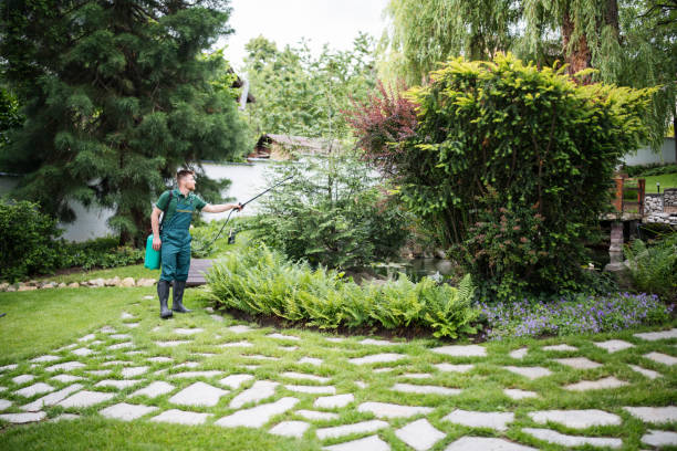 Best Commercial Pest Control Services  in Philadelphia, MS
