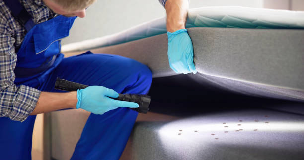 Wasp Removal Services in Philadelphia, MS