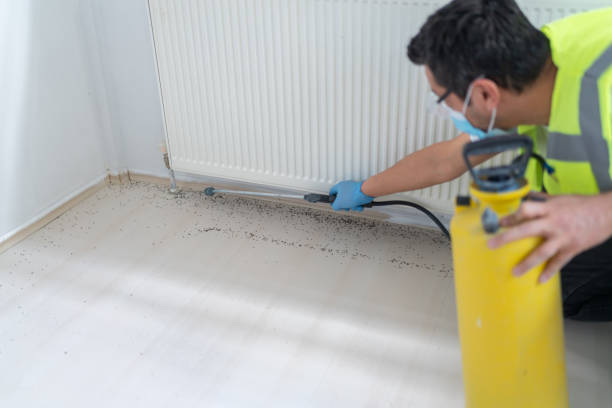 Best Cockroach Control Services  in Philadelphia, MS