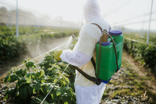 Pest Control for Restaurants in Philadelphia, MS